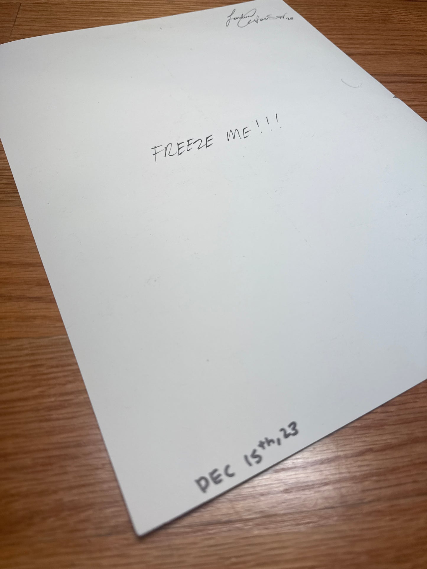 “Snowmiser” Original art