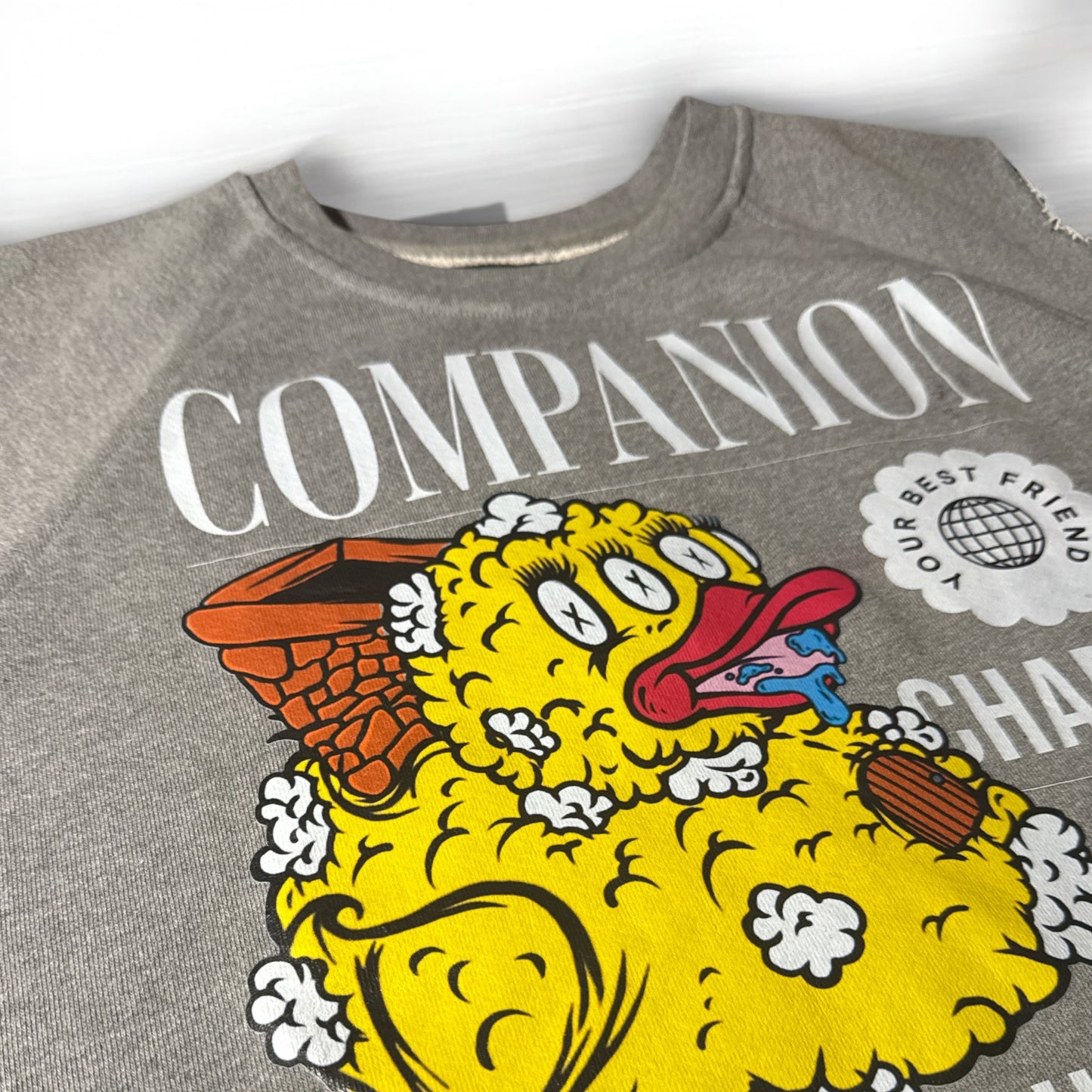CUSTOM “COMPANION” CHARLIE CROPTOP